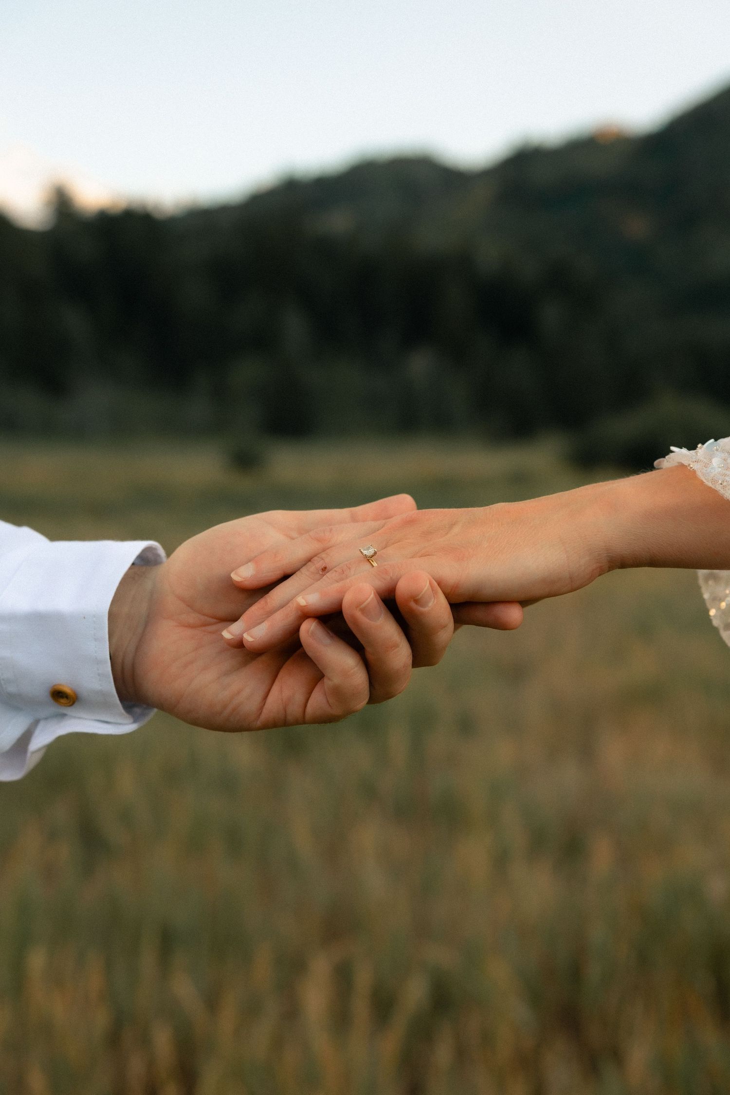 Couple holding hands outdoors in a field, bride wearing an engagement ring, with mountains and trees in the background.