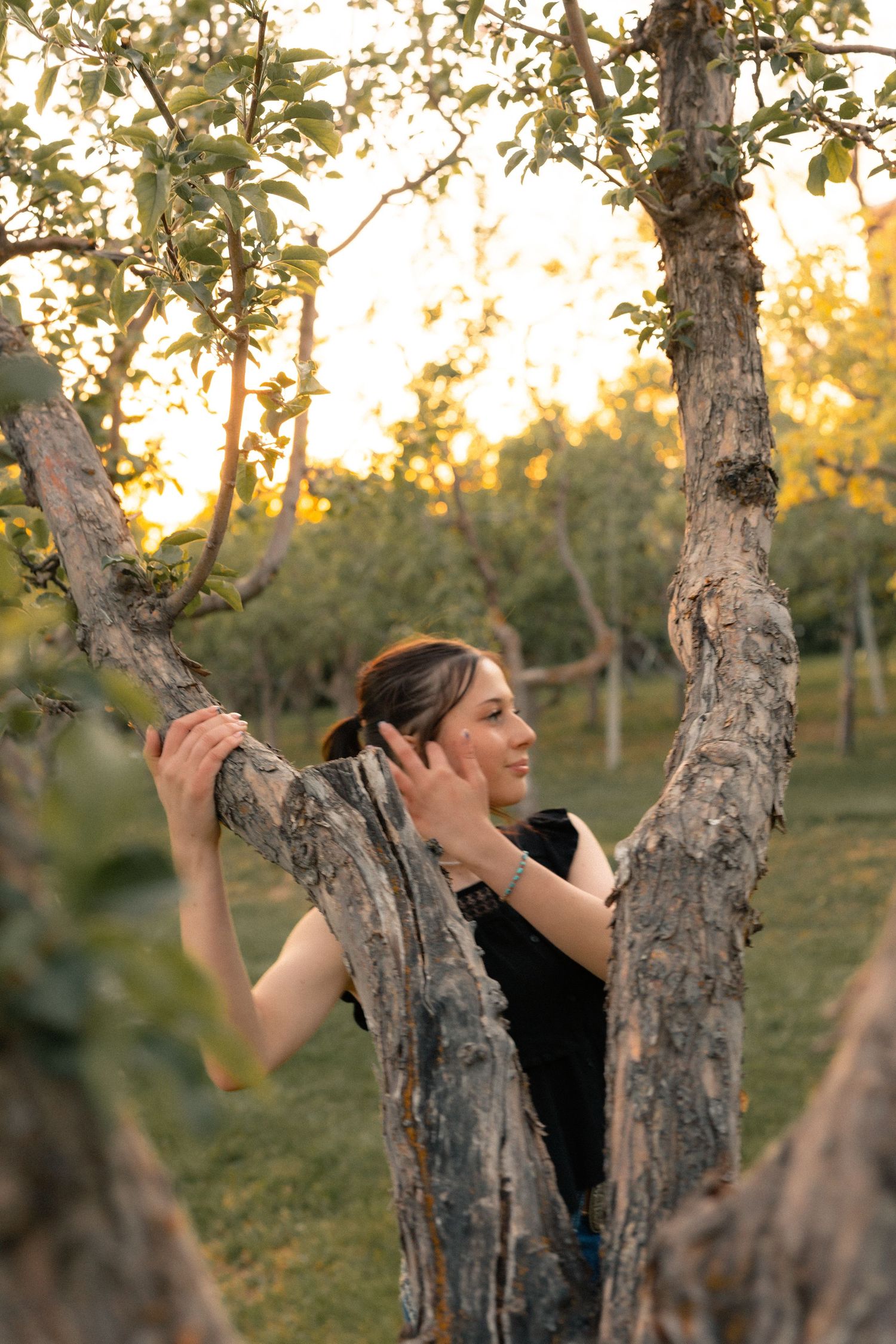 Woman in black dress standing between tree trunks in golden hour orchard light.