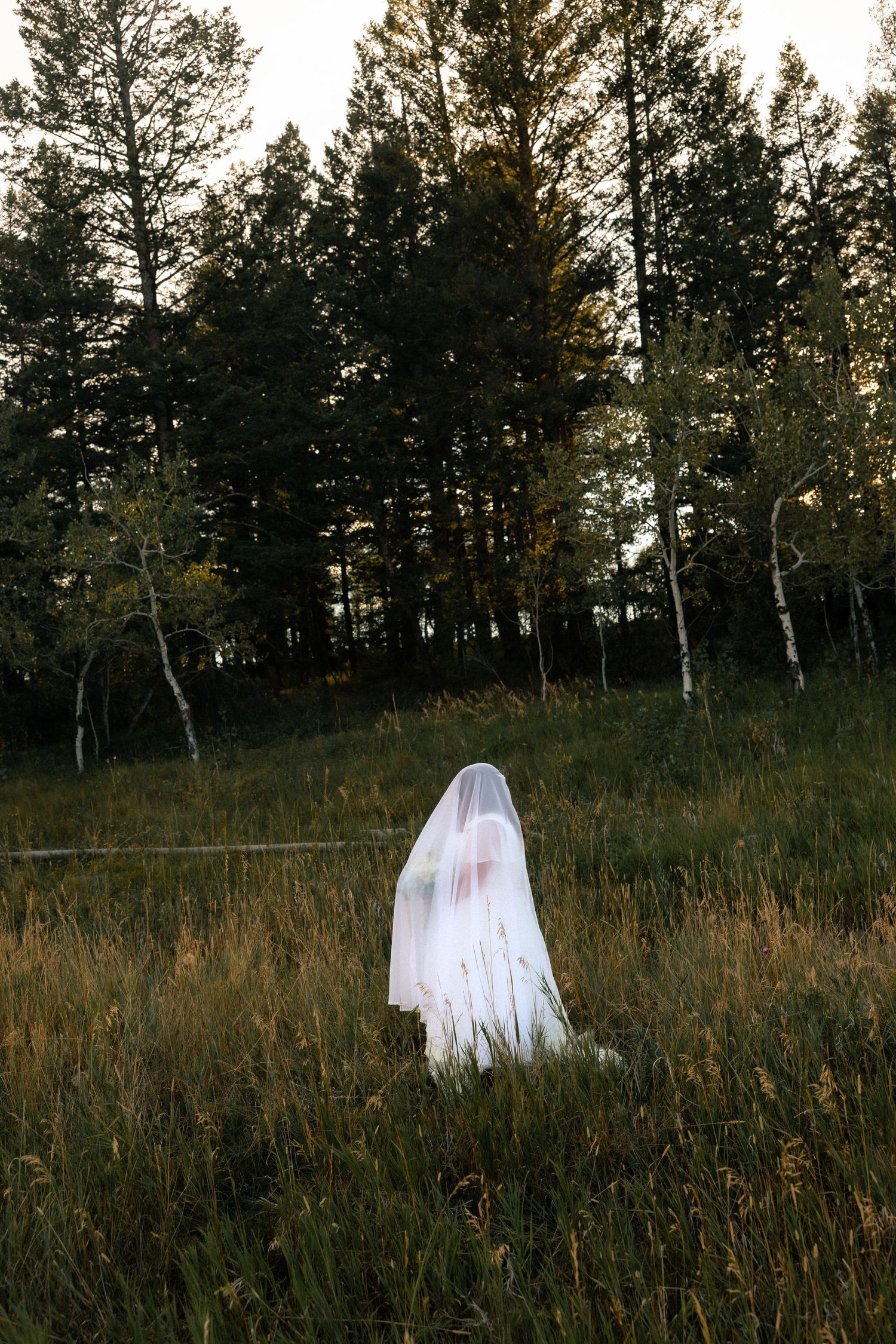 A ghostly figure draped in white veil stands in a meadow surrounded by tall pine trees at dusk.