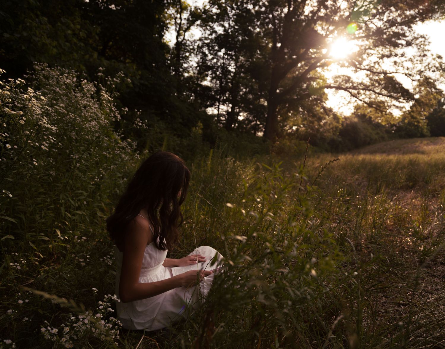 Silhouette reading in white dress during golden hour among wildflowers.