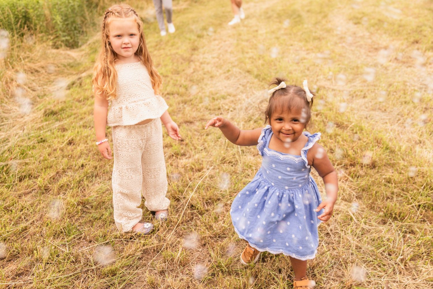 A series of candid photos show small children playing and walking in a sunny meadow amongst golden grass.