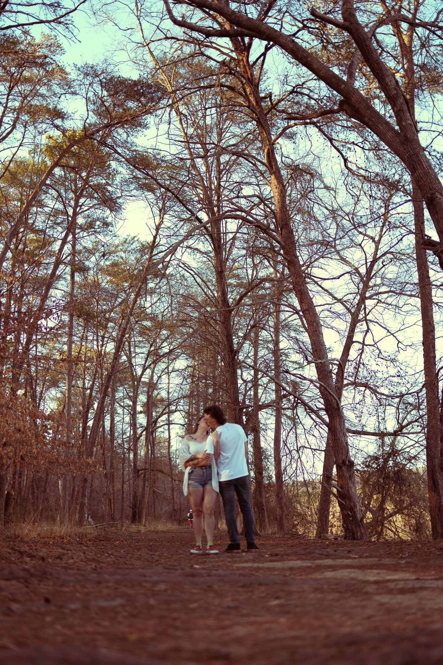 Couple embracing on a forest dirt path surrounded by tall bare trees in warm autumn light.