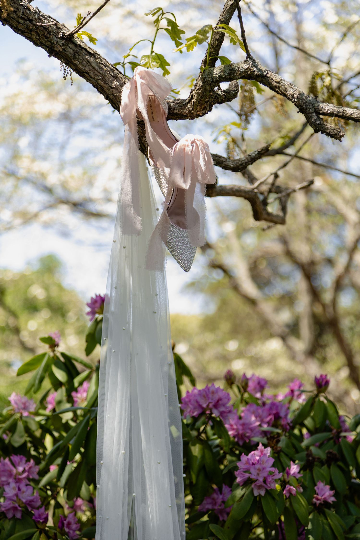 White wedding dress hanging from tree branches with purple flowers blooming underneath.