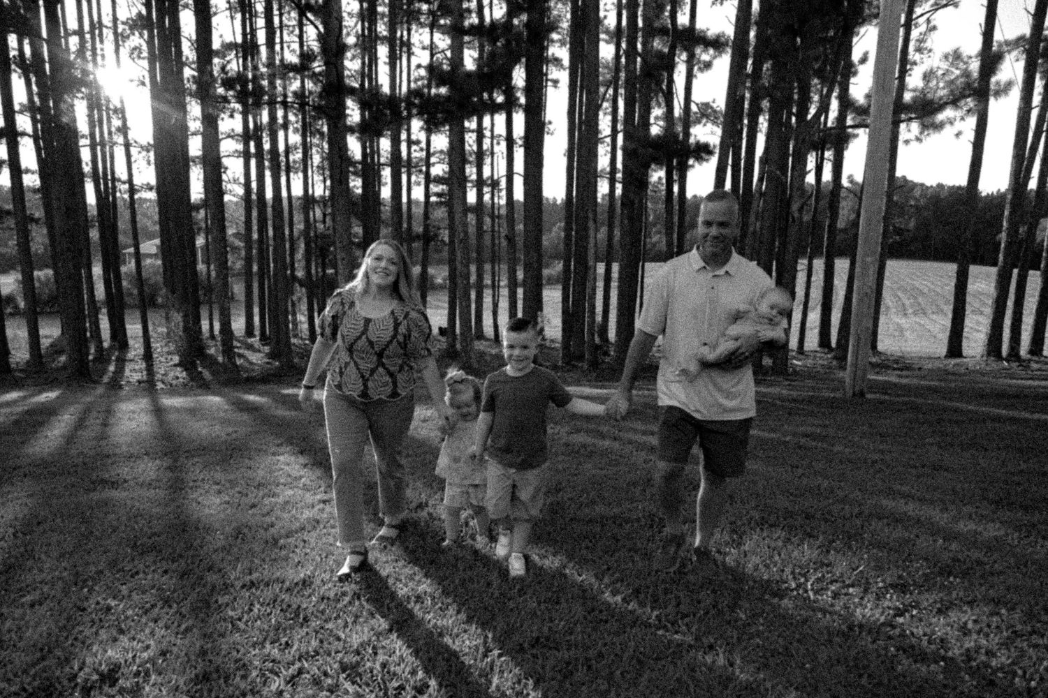 People enjoying a walk through a tranquil pine forest with filtered sunlight streaming through the trees.