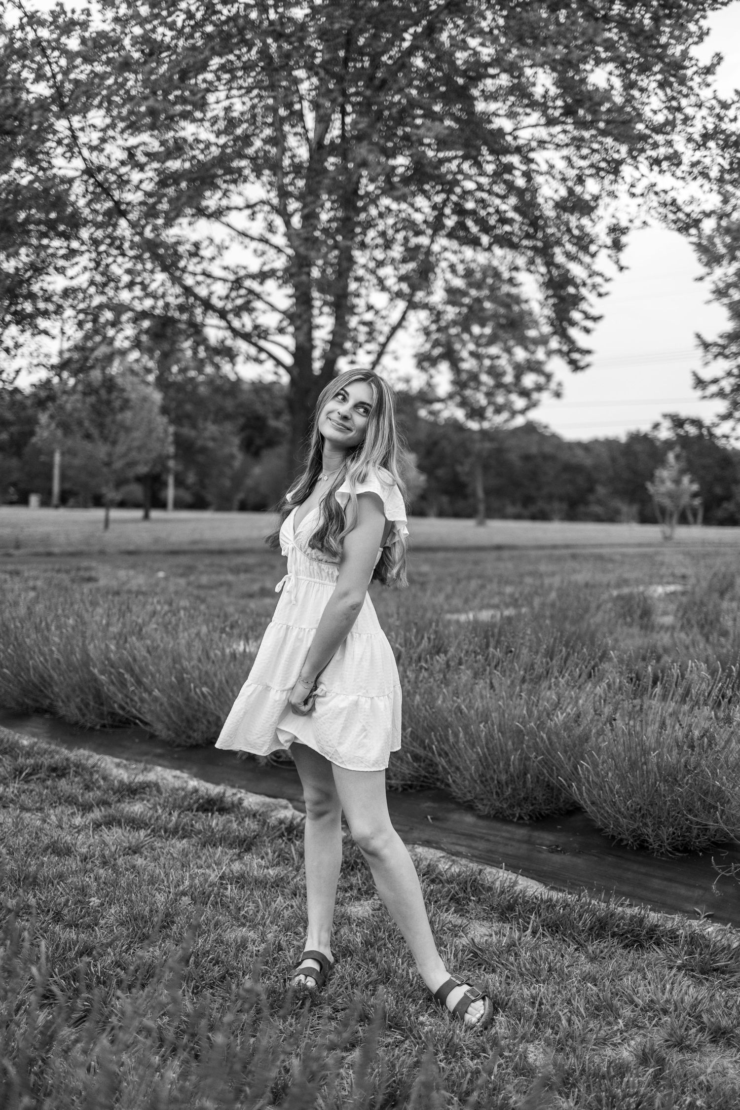 Black and white photo of a young woman in a white dress posing in a lavender field with trees in the background.