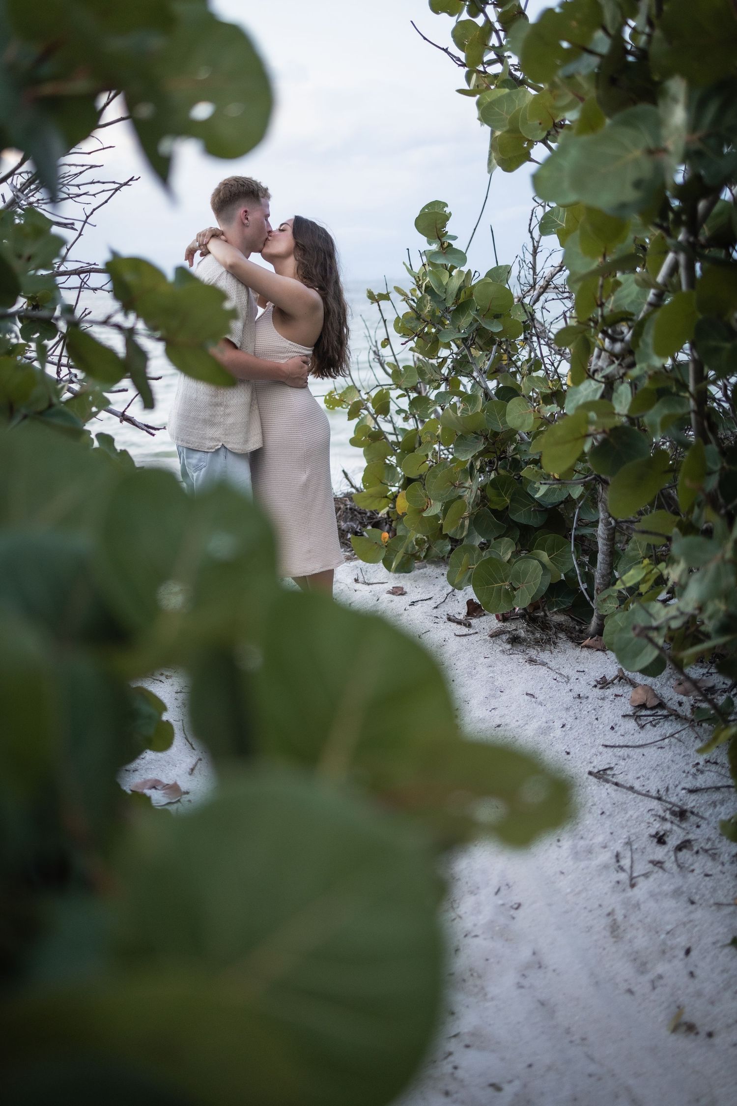 Romantic moment framed by sea grape leaves on a sandy beach path.
