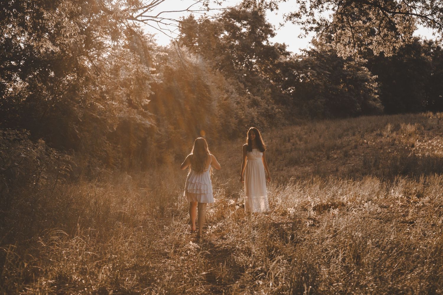 A series of sepia-toned photographs show silhouettes of figures walking through golden fields during sunset.