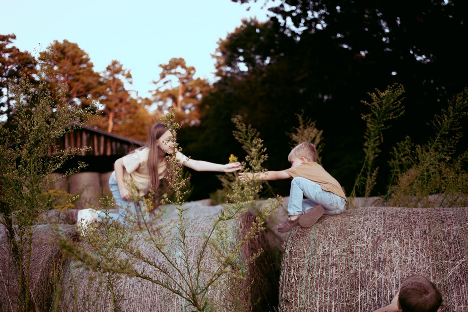 A series of autumn photos showing a person posing in casual wear against a rustic outdoor backdrop with fall foliage.