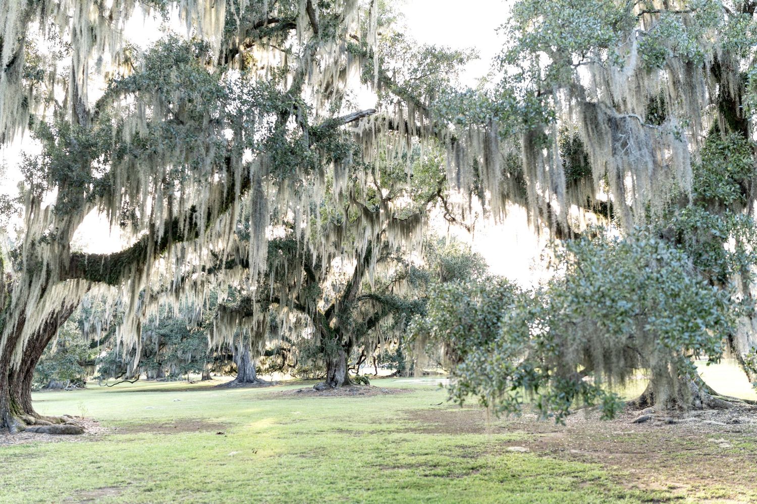 Fontainebleau State Park in Mandeville, Louisiana