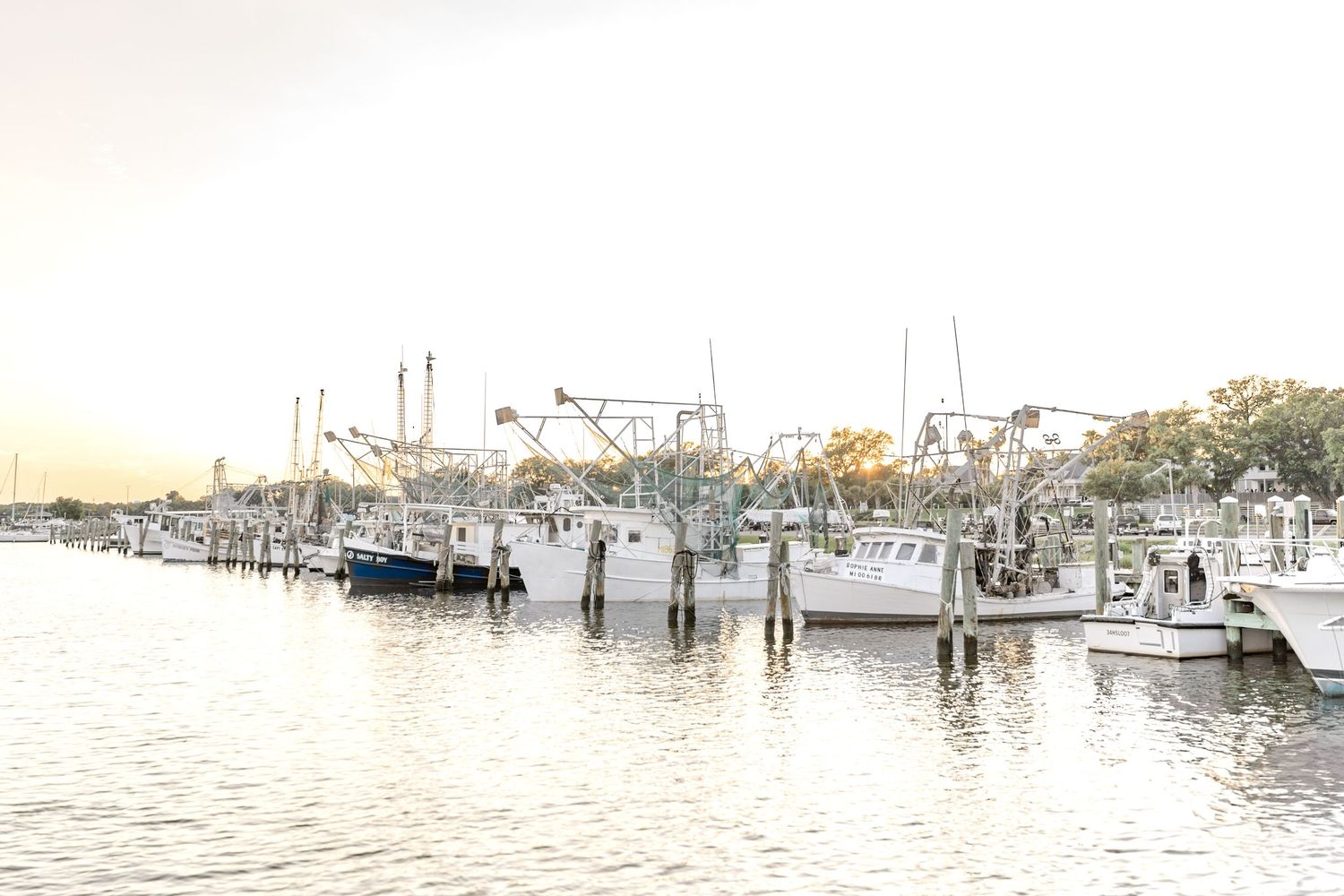 Row of fishing boats docked at a marina during sunset with calm waters and cloudy skies.