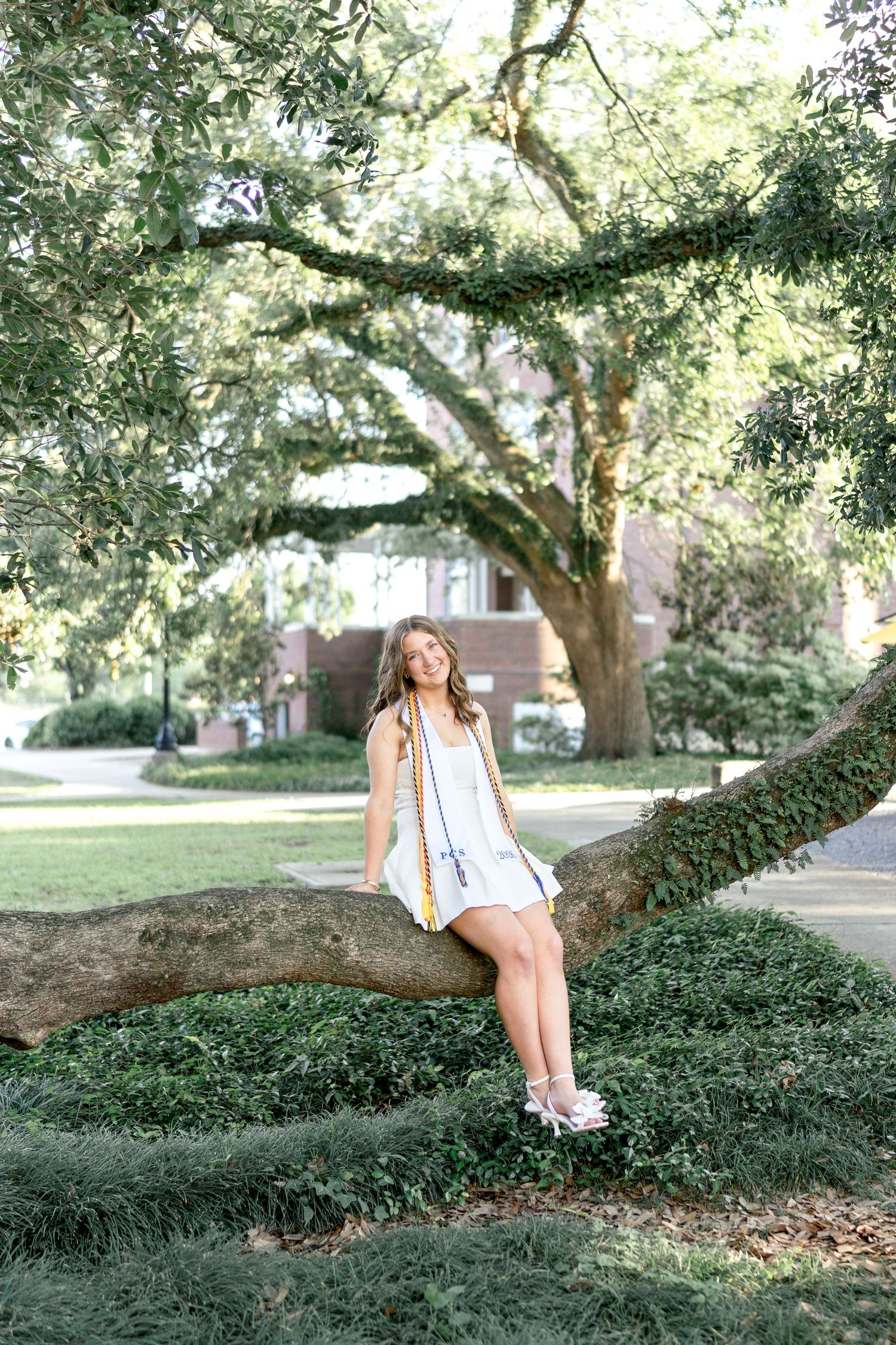 Young woman in white dress sitting on a large tree branch in a lush green park setting.