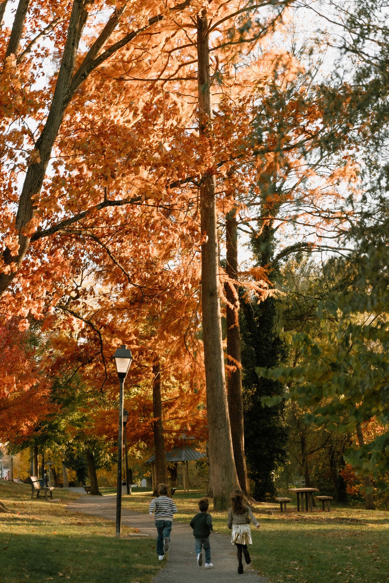Three children walk along a park path surrounded by vibrant autumn foliage in warm orange and red tones.