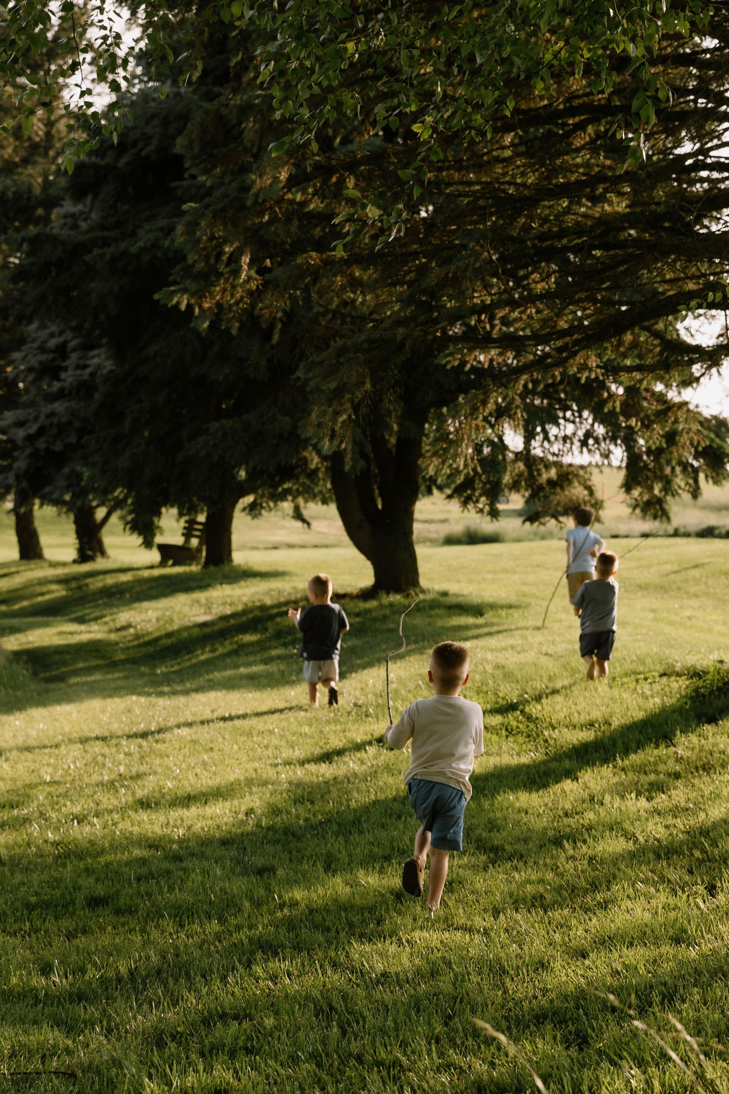 Three children running across a sunny green lawn toward large trees during golden hour outdoor play.