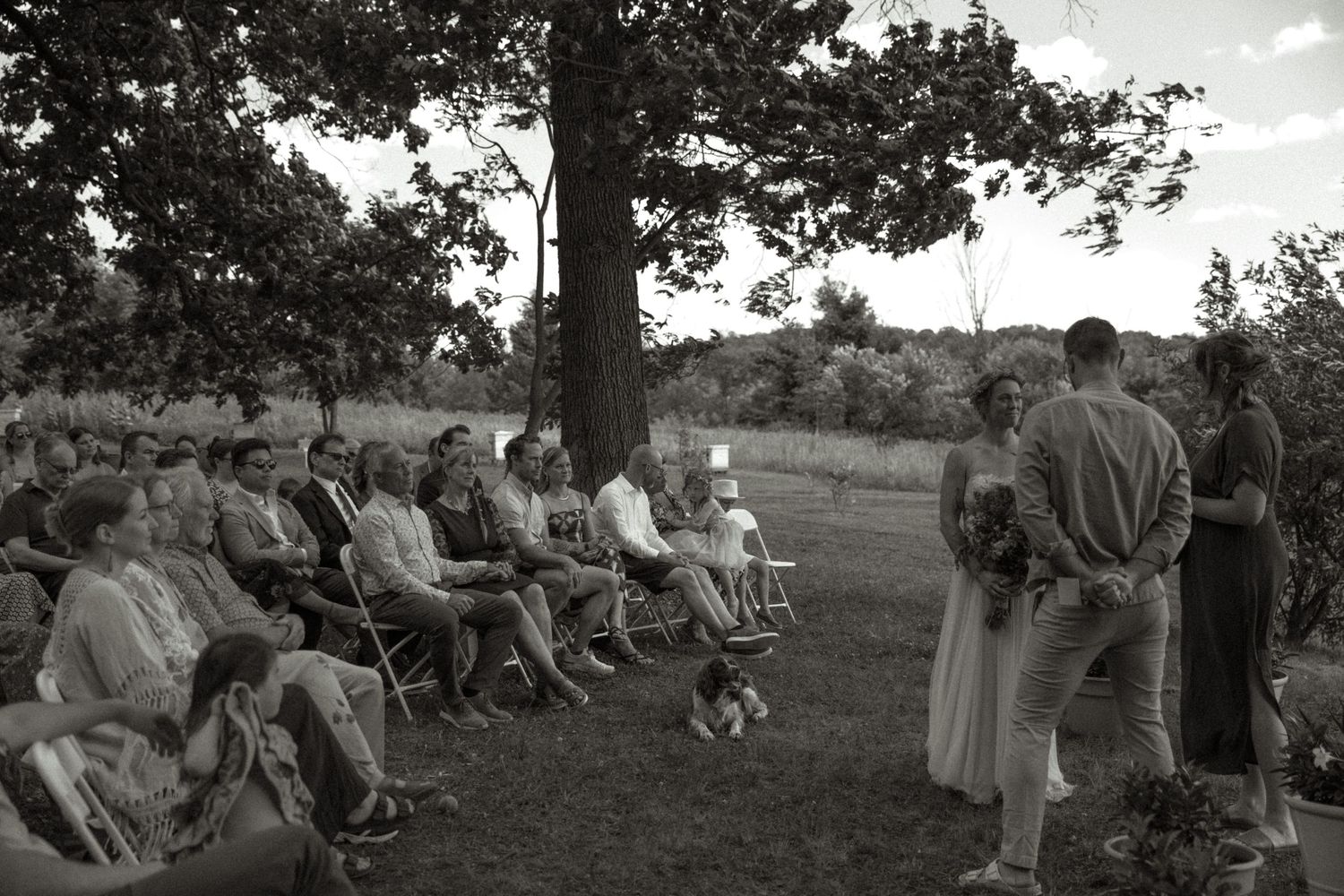 Black and white outdoor wedding ceremony with guests seated on chairs under a large tree, bride holding bouquet.
