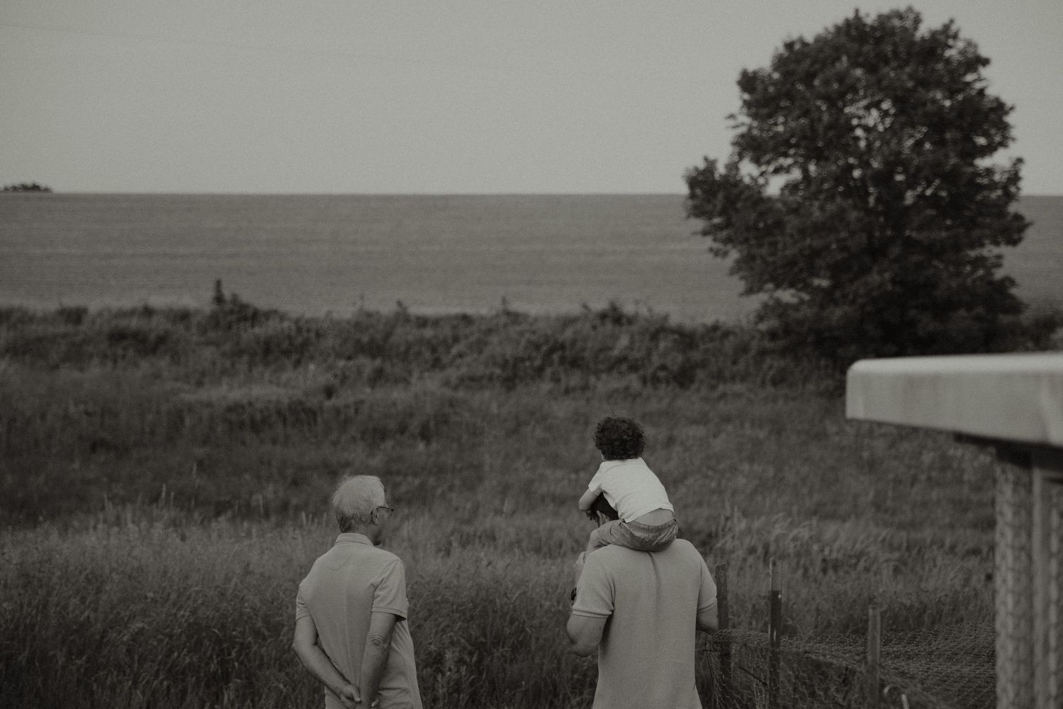 Black and white photo of family with child on shoulders gazing over a rural field with a lone tree.