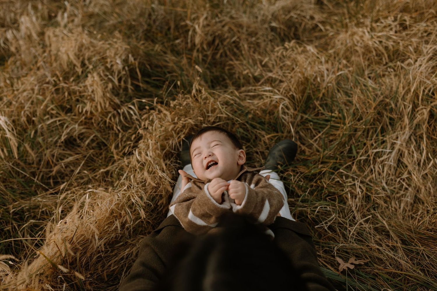 A joyful young child laughing while lying in golden dry grass outdoors.