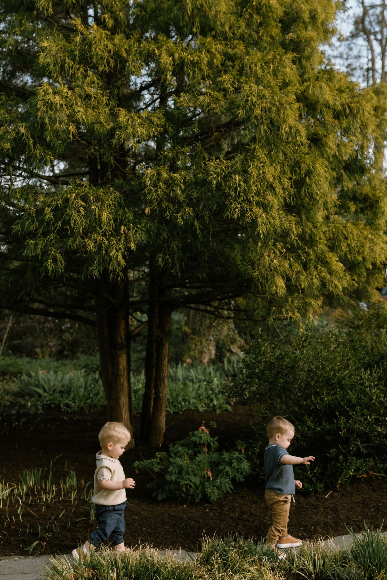 Two toddler boys playing outdoors near a large green tree in a lush garden setting.