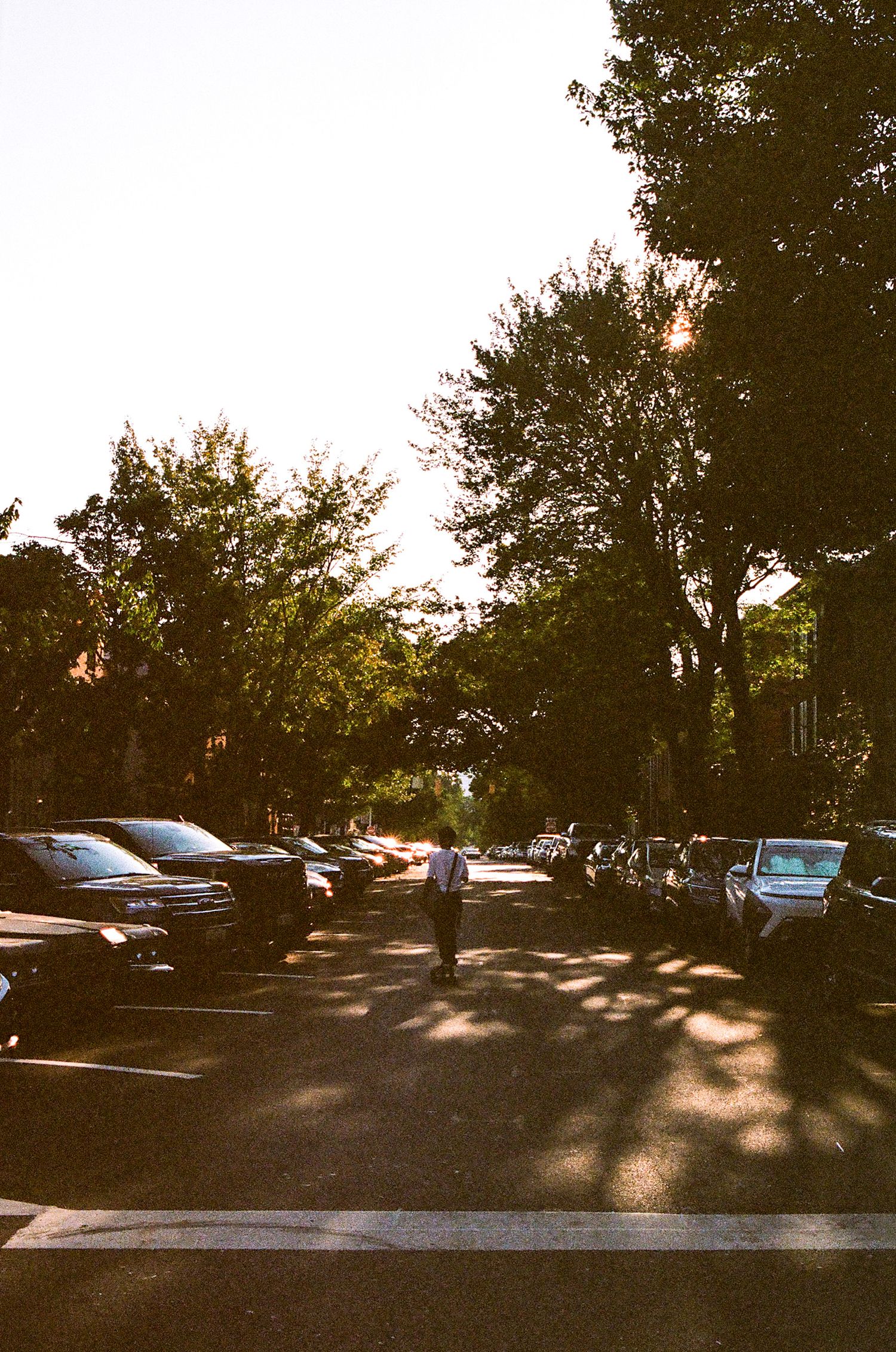Person walking on a tree-lined residential street at golden hour with parked cars on both sides.