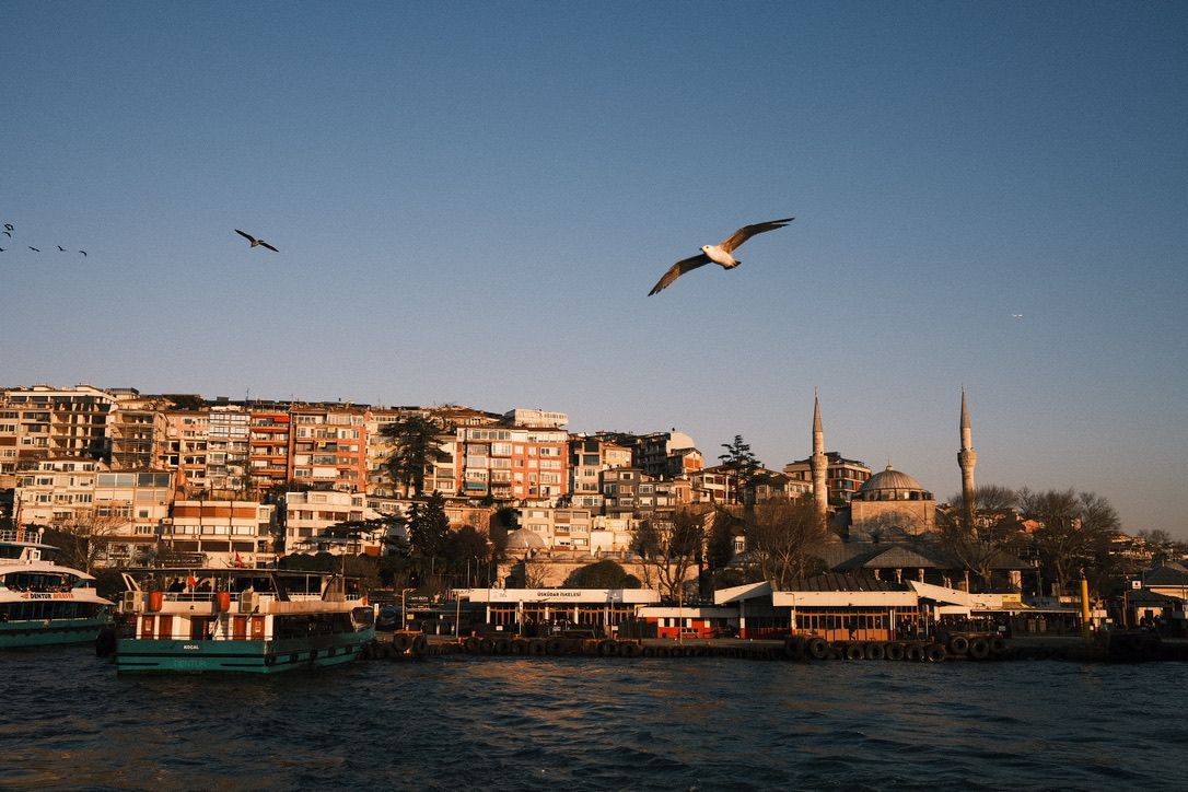 Seagulls fly over Istanbul waterfront with colorful buildings and mosque minarets at sunset.