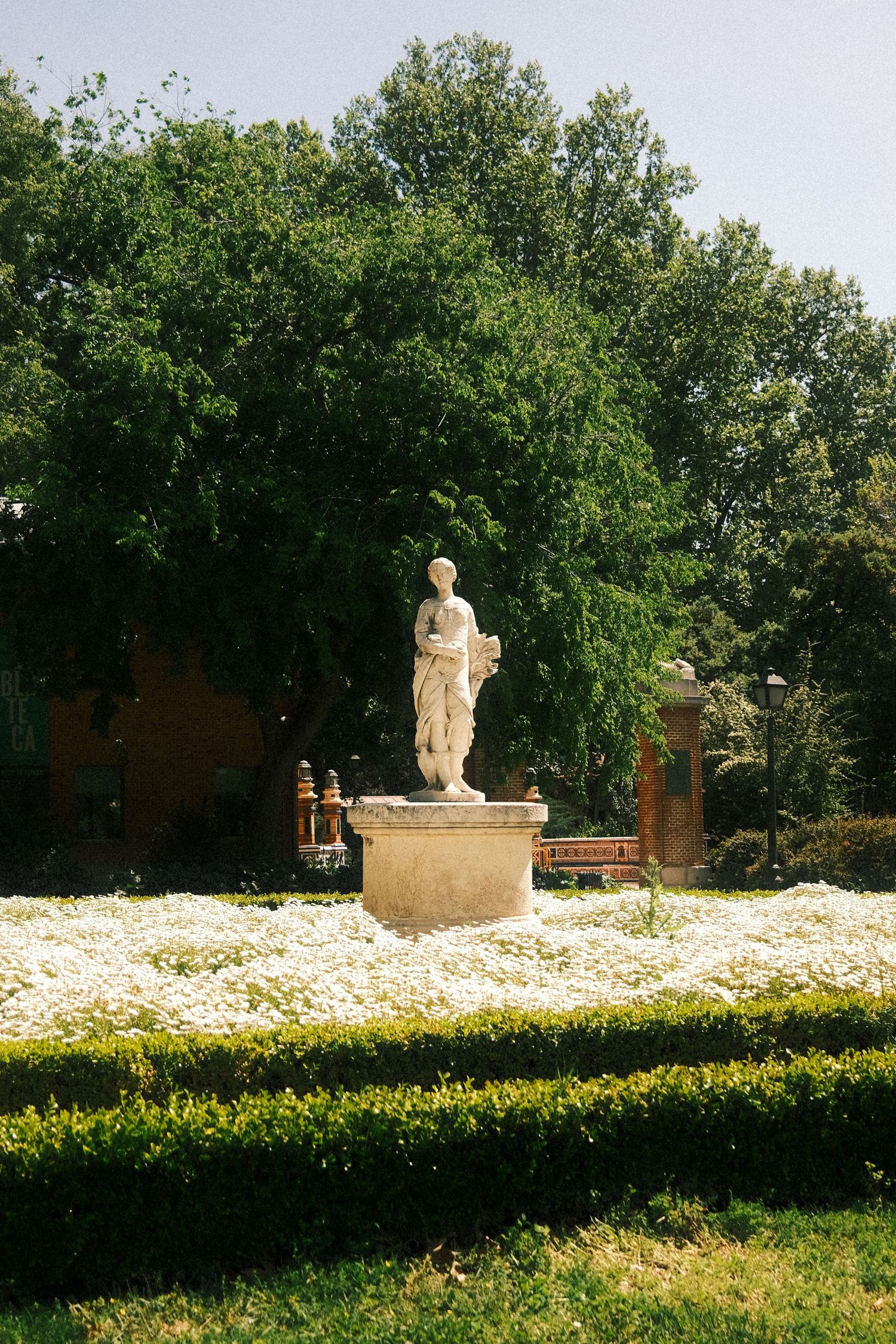 Classical stone statue of a draped female figure on a pedestal surrounded by white flowers and trimmed hedges in a formal garden.