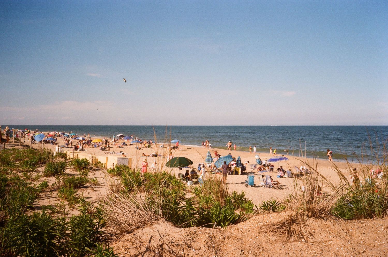 Crowded sandy beach with colorful umbrellas, sunbathers, and calm blue ocean waters on a clear sunny summer day.