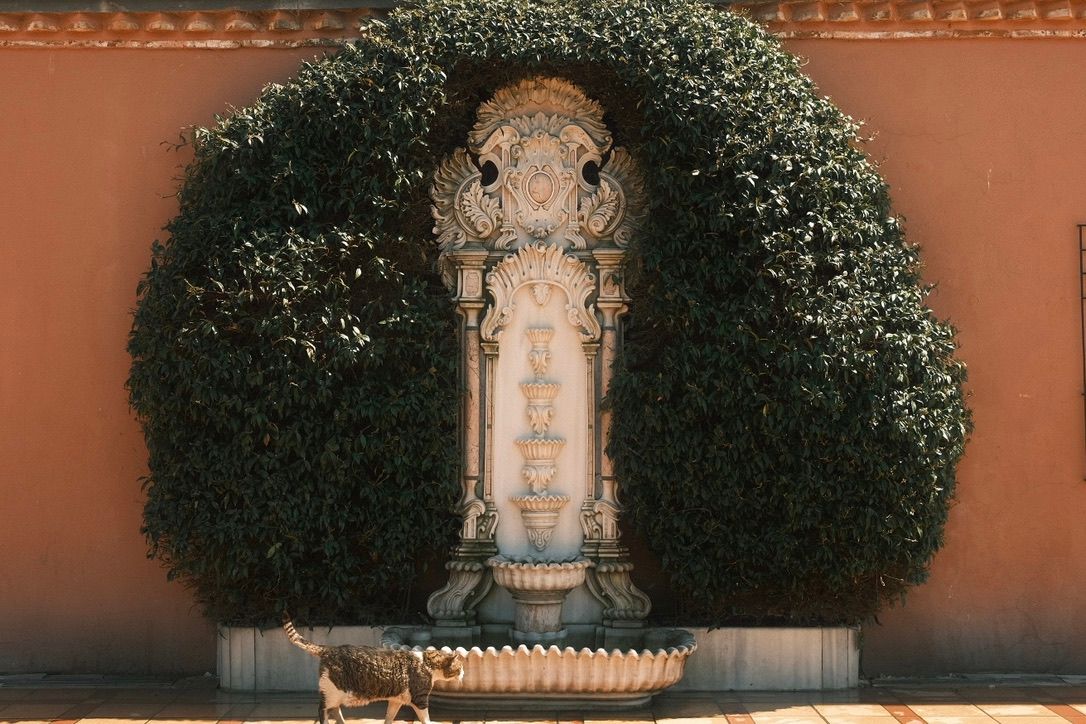 Ornate stone fountain framed by lush trimmed hedges against a terracotta wall with a cat resting nearby.