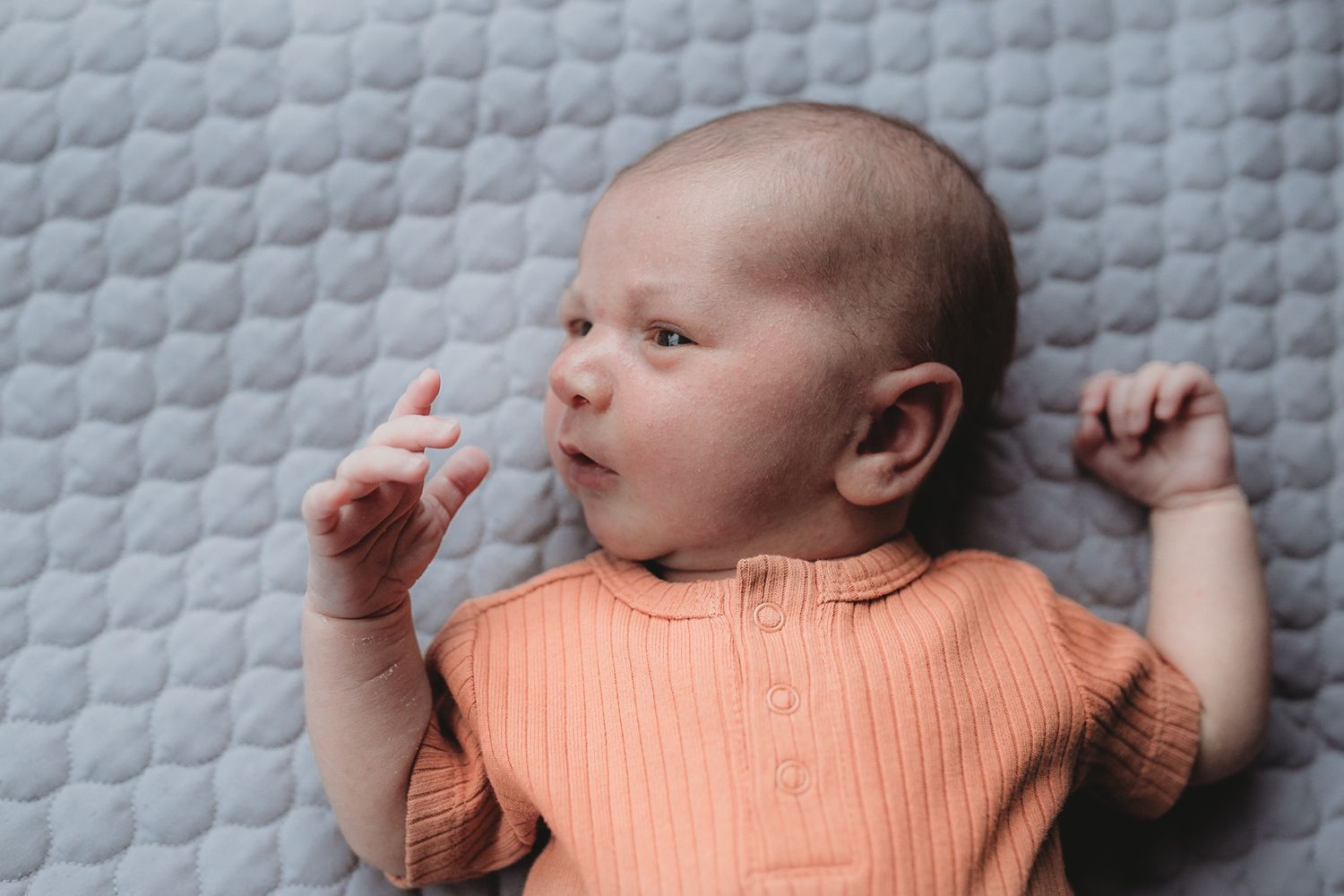 Newborn baby born  lying on a bed at home  newborn session Taylors Hill, Melb, Vic
