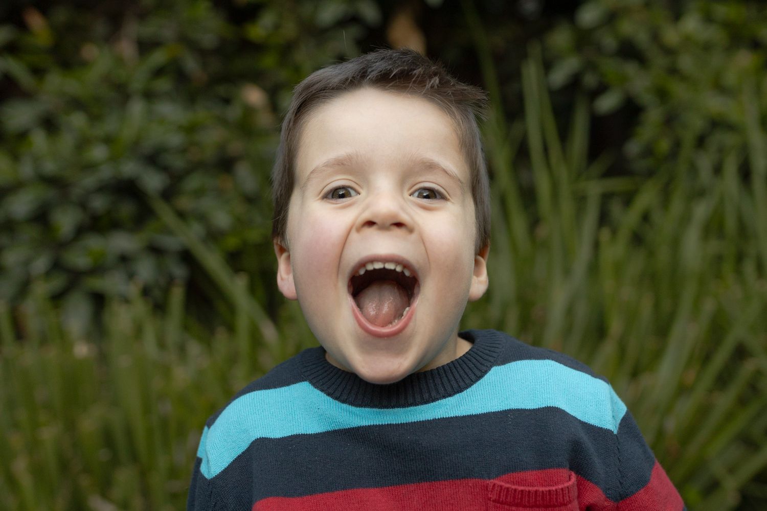 At home maternity session toddler big smile excitement  Moonee Ponds  Melb Vic