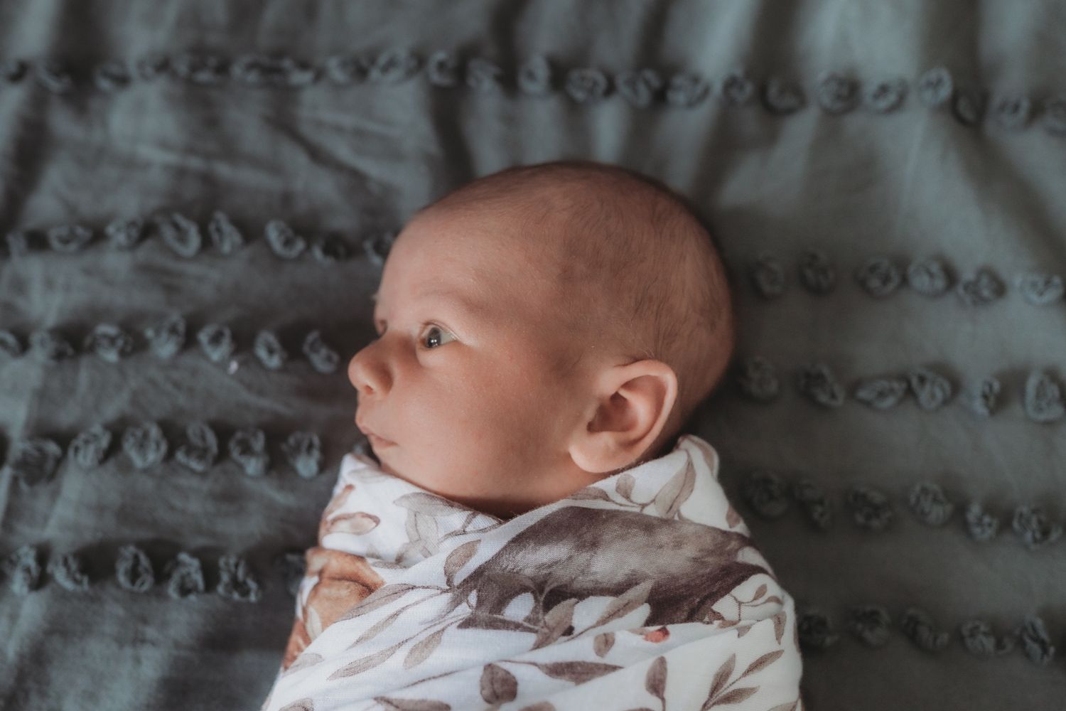 Newborn baby born wrapped in a swaddle lying on a bed at home  newborn session Taylors Hill, Melb, Vic