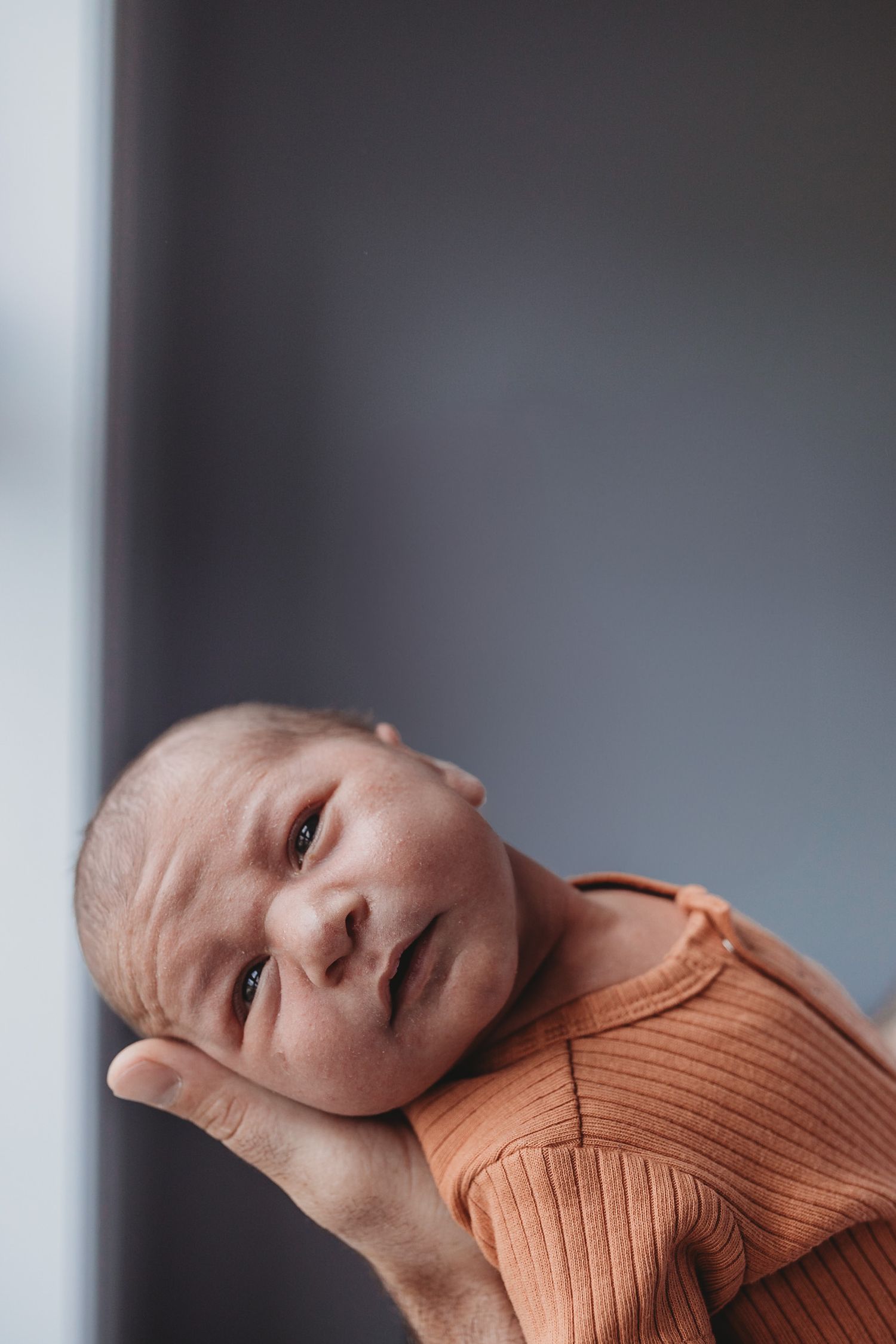 Close up of newborn being held in dad's hand close to the window soft light newborn at home session Taylors Hill Melb Vic