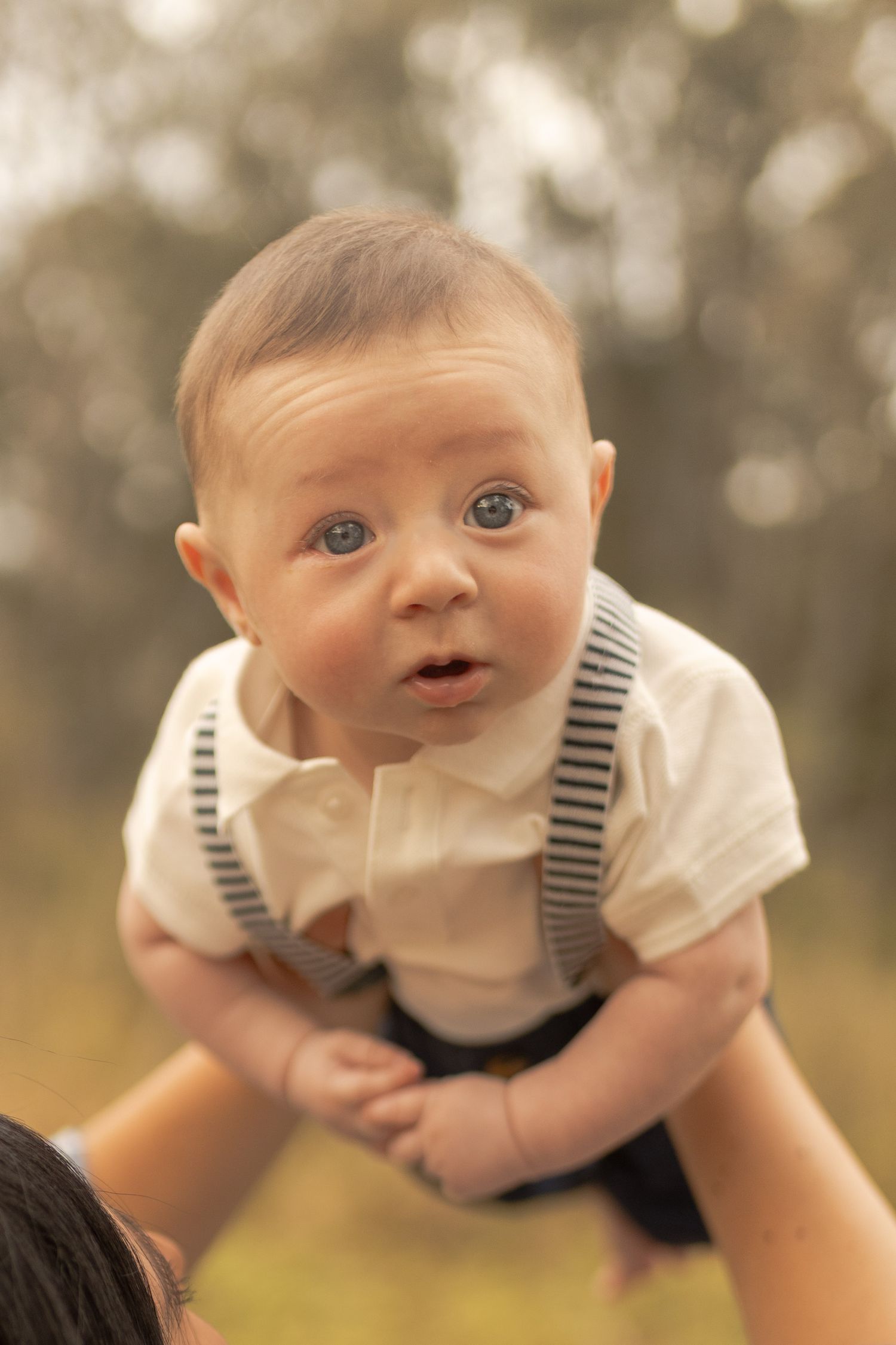 Newborn baby boy being held up in the air by his mum warm sunlight looking surprised. Outdoor family session Sunshine North Melb Vic