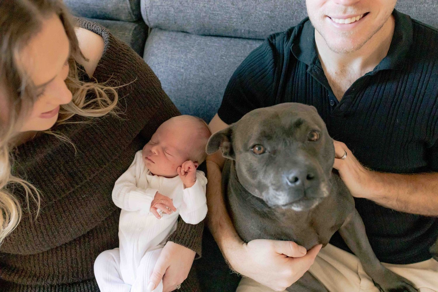 Parents newborn and dog sitting on the couch Melbourne Newborn Photography