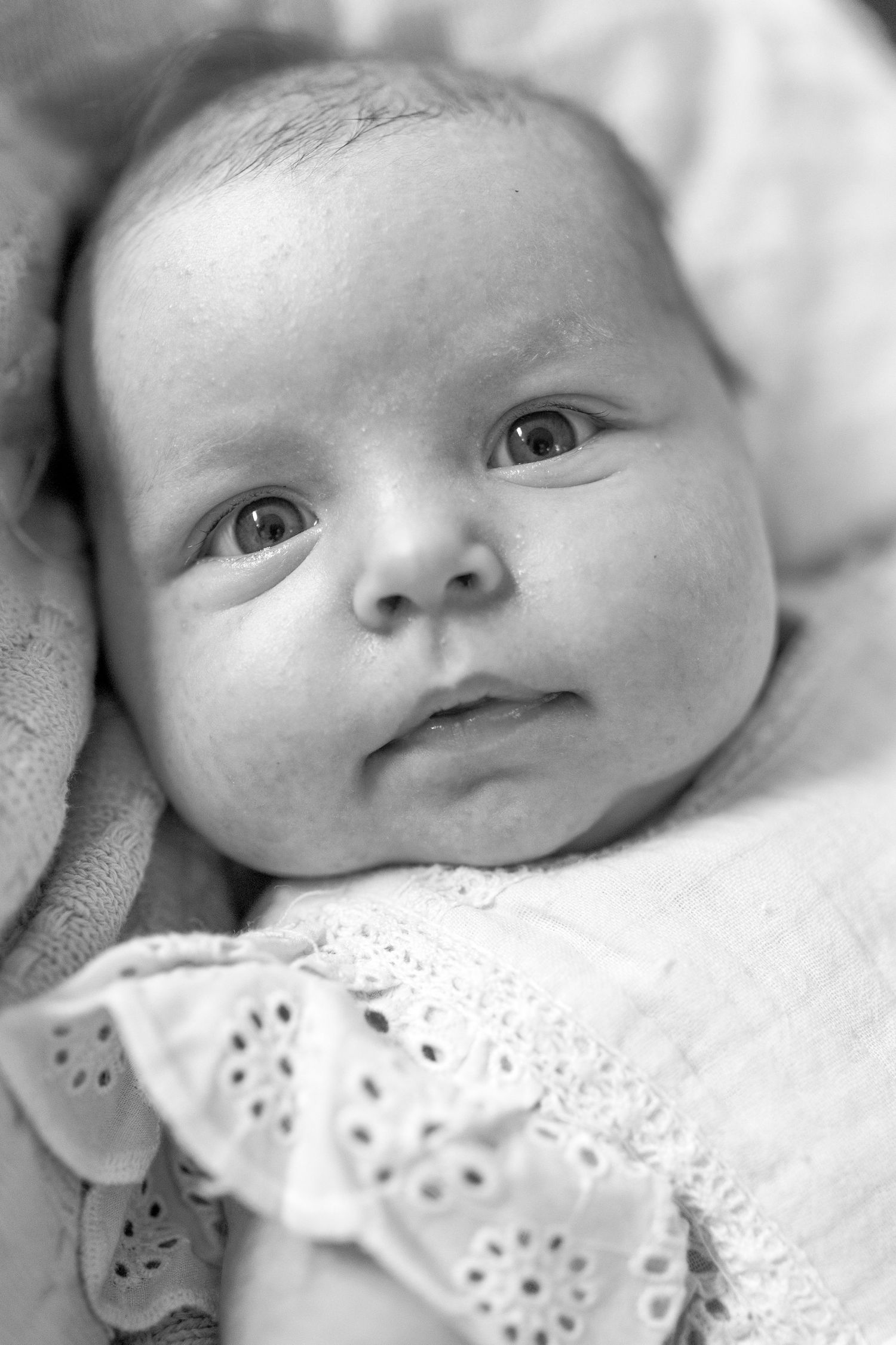 Newborn baby girl looking up at the camera surrounded by soft blankets Newborn photoshoot in Melbourne's West
