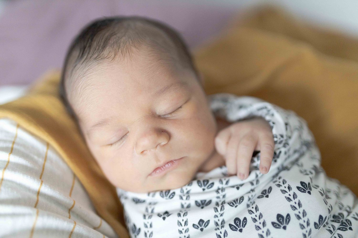 Newborn baby boy lying on the bed with soft blankets sleeping chubby cheeks at home newborn session  Sunshine North Melb Victoria