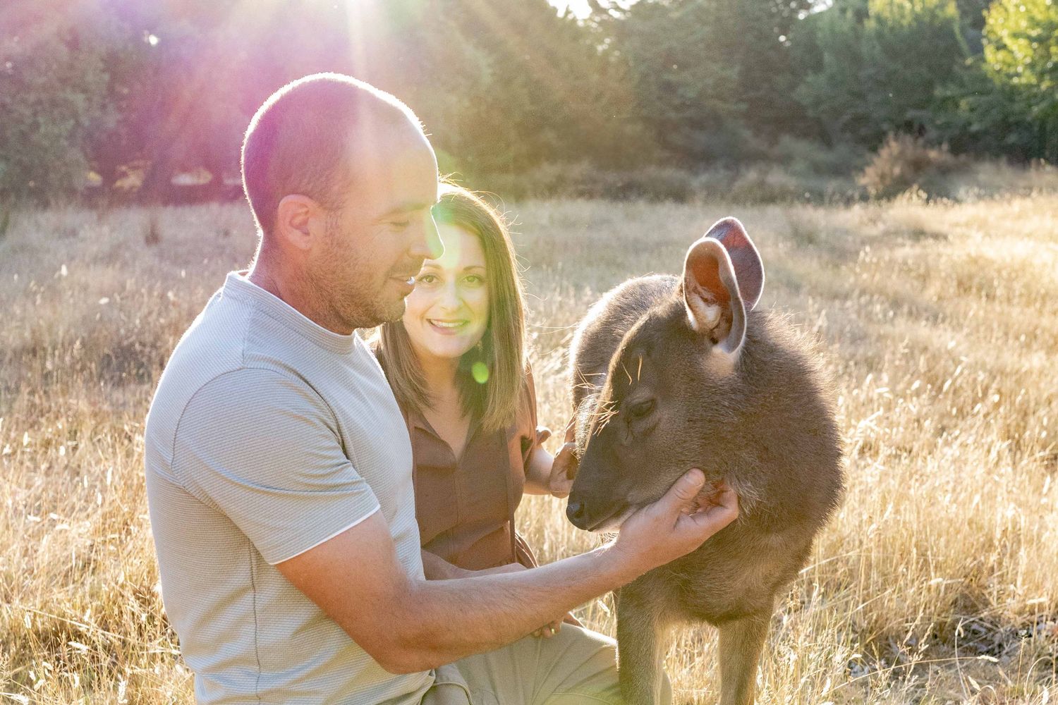 Mum and dad in a field with their pet deer Outdoor at home family session Gisborne Melb Vic