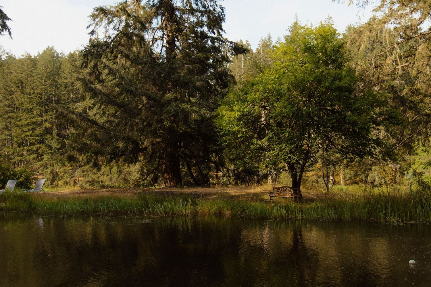 golden hour at the pond on sacred arrow estates