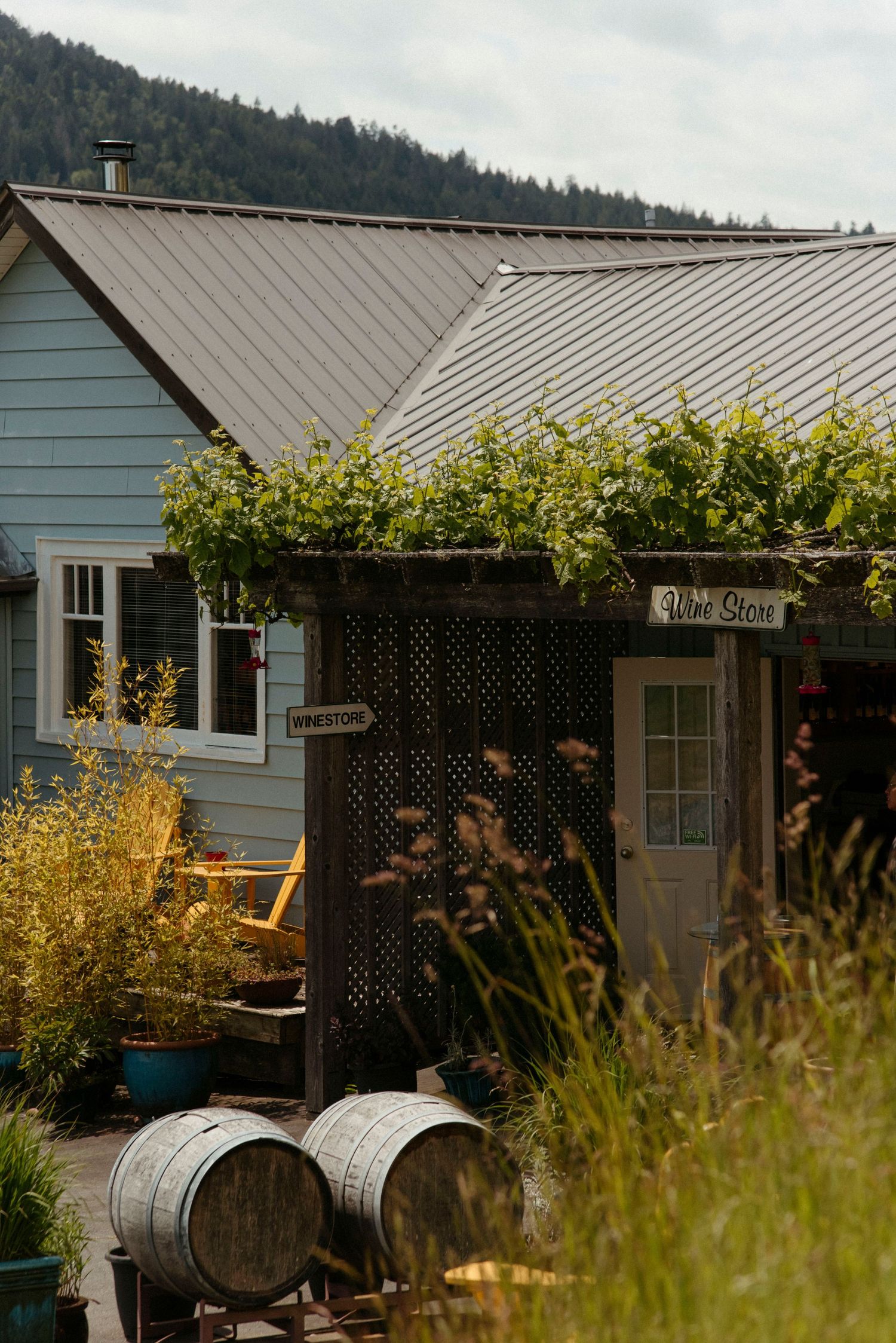 salt spring island winery entrance