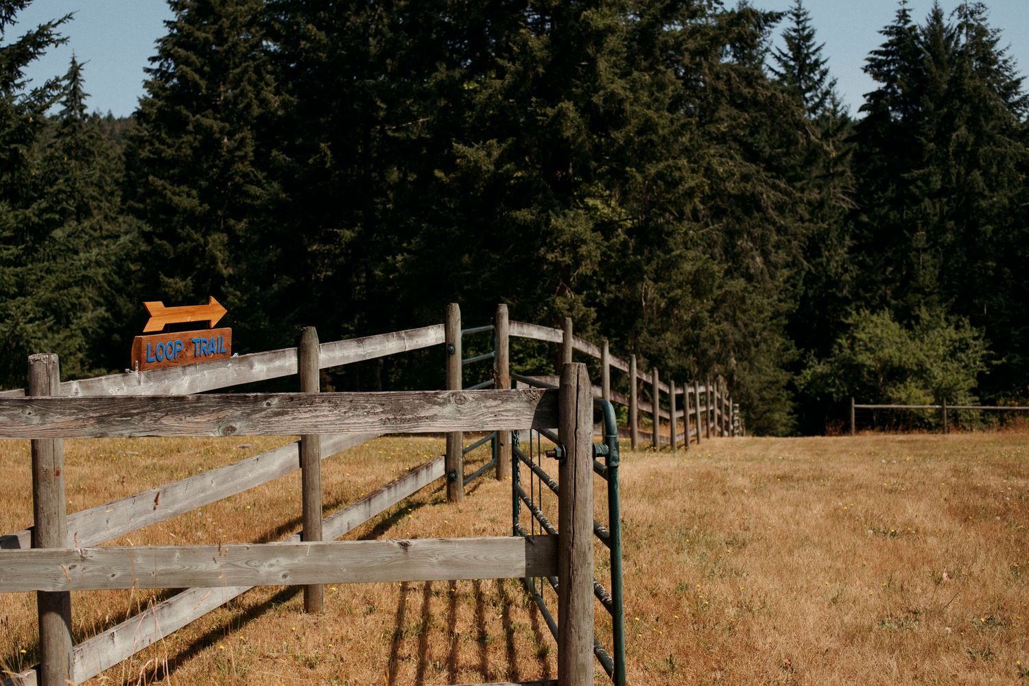 loop trail head at wild plum cottage on salt spring island