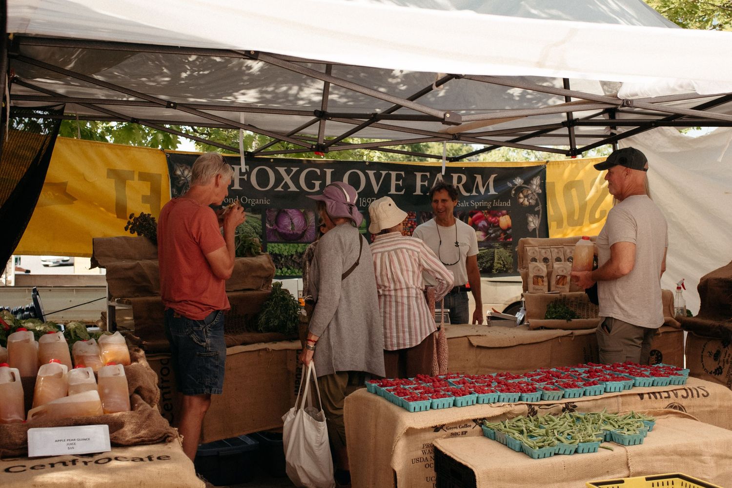foxglove farm stand at salt spring island farmers market