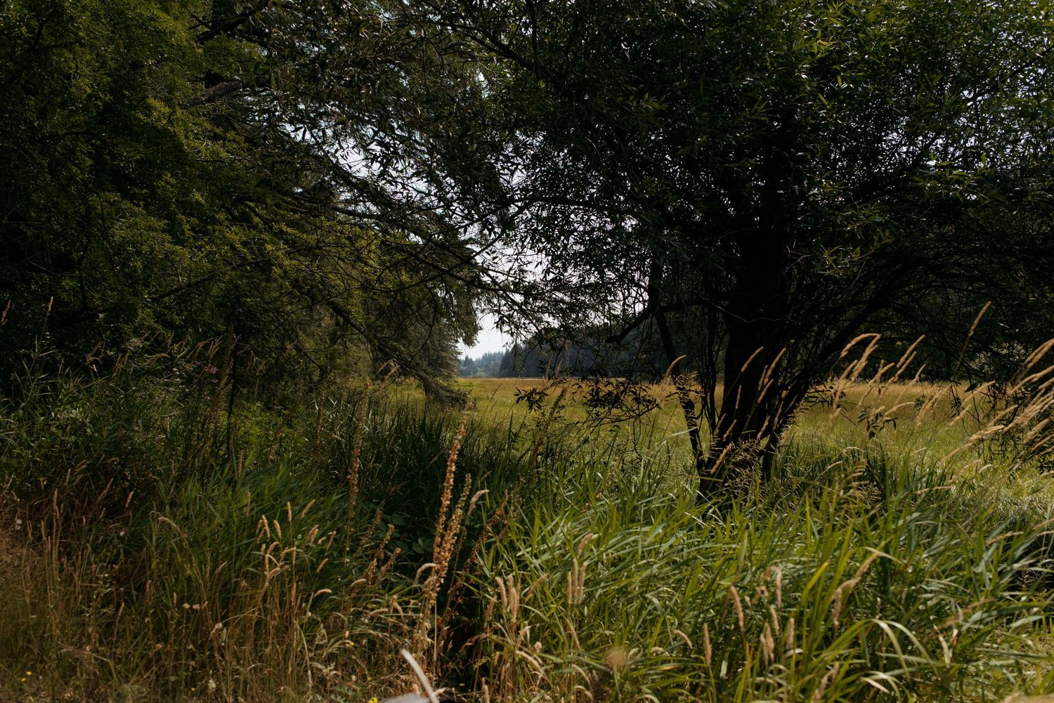trail walk on sacred arrow estates