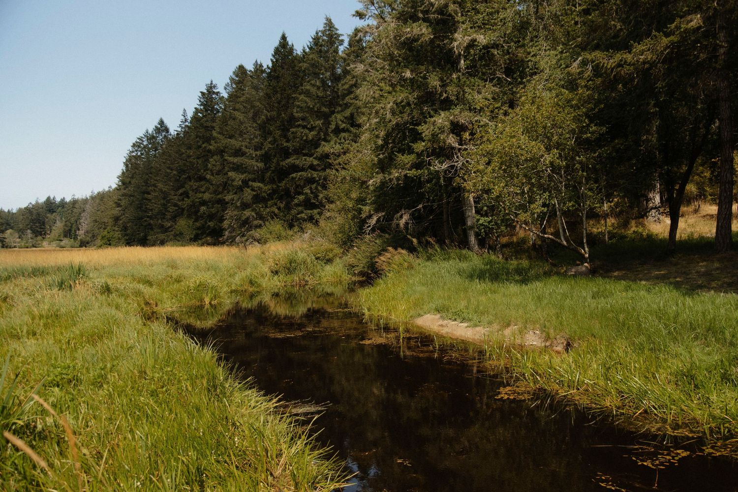 trail view at wild plum cottage on salt spring island