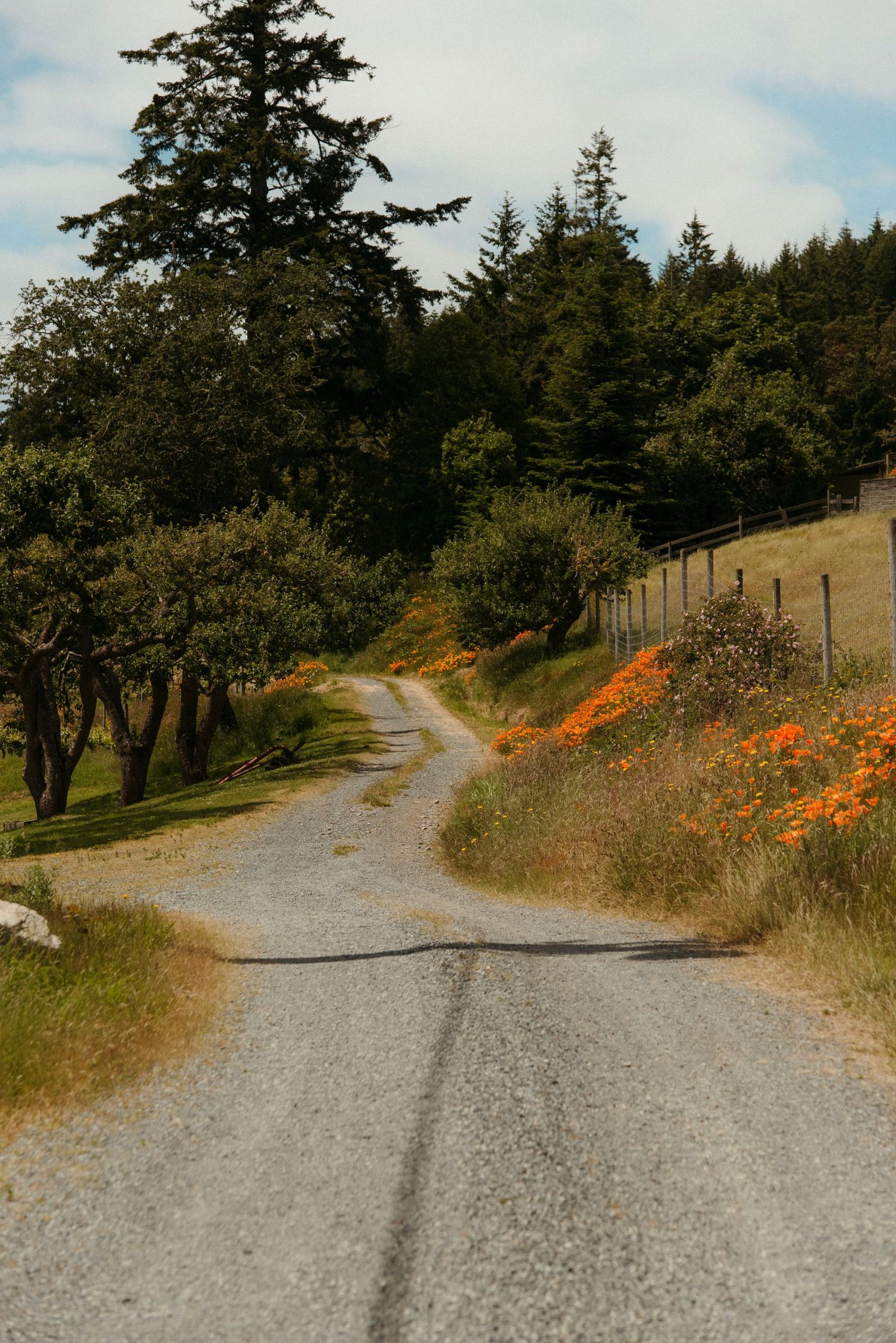 salt spring island winery road and parking area