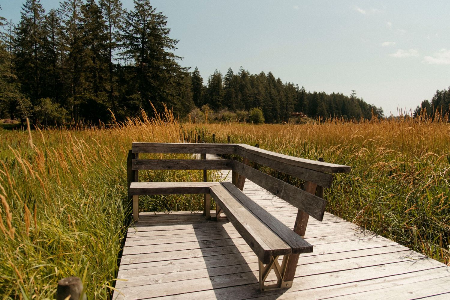 boardwalk at wild plum cottage on salt spring island