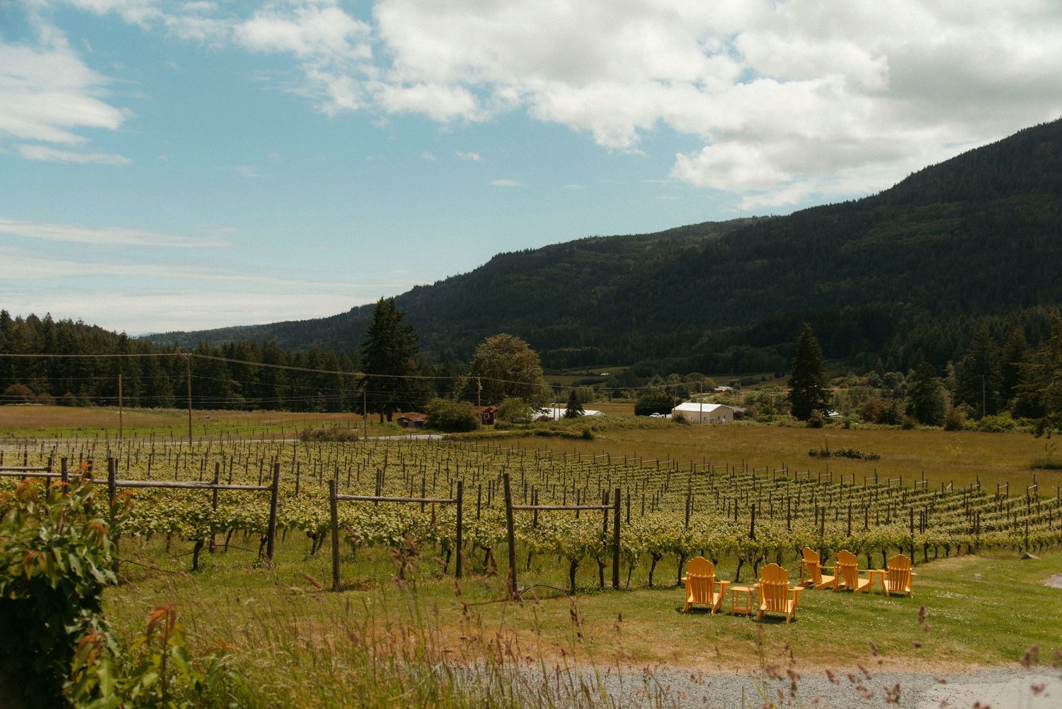 salt spring island vinyard with lawn chairs on a sunny day