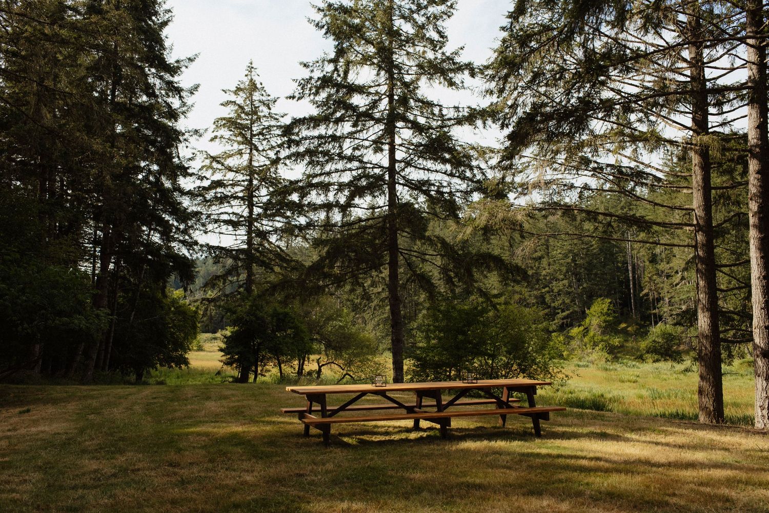 long picnic table at the wild plum cottage pond