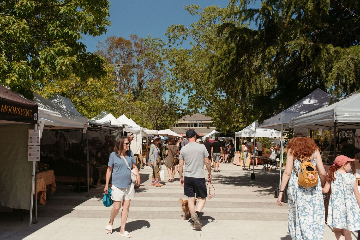 Salt spring island's saturday artisan market in ganges