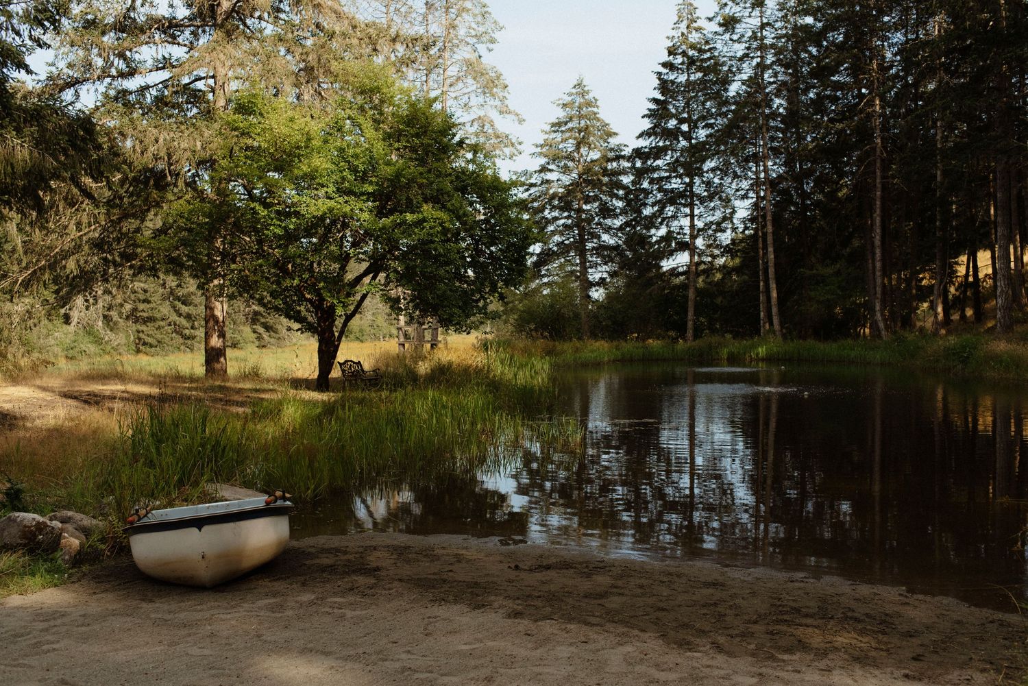 pond beach front and canoe at wild plum cottage