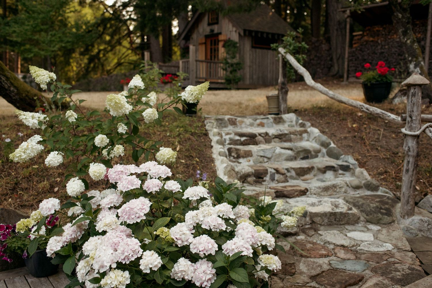 back patio stone steps with wood railing and hydrangea bushes