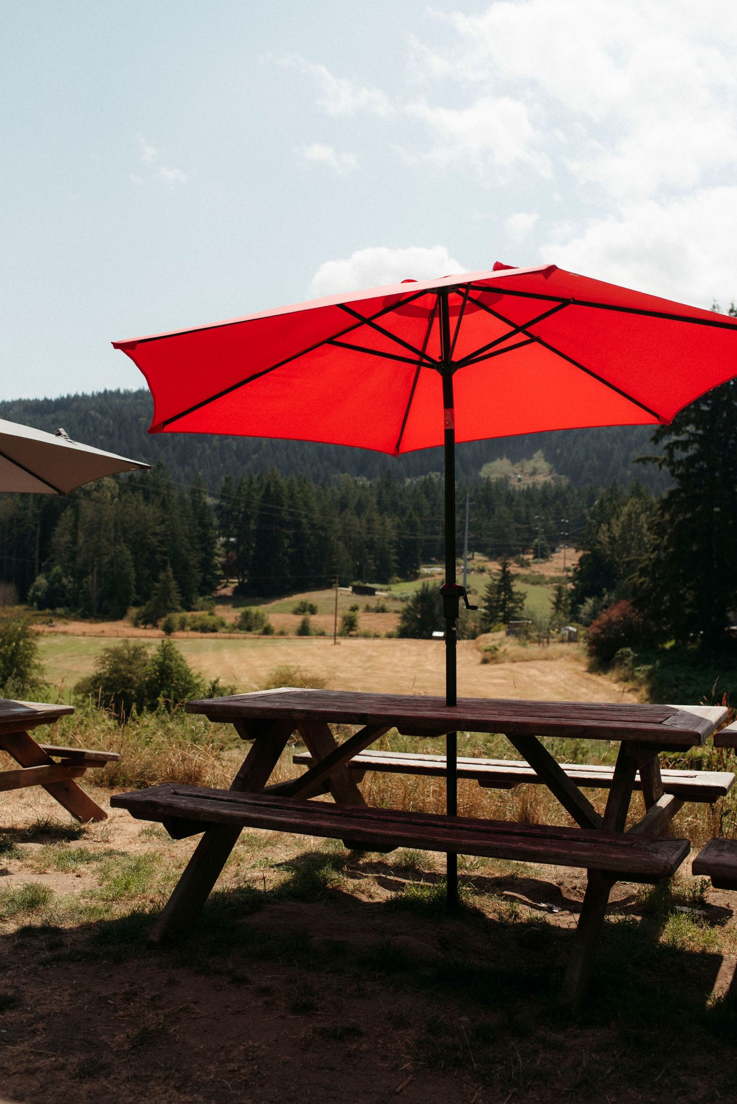 wild cider patio picnic table in salt spring