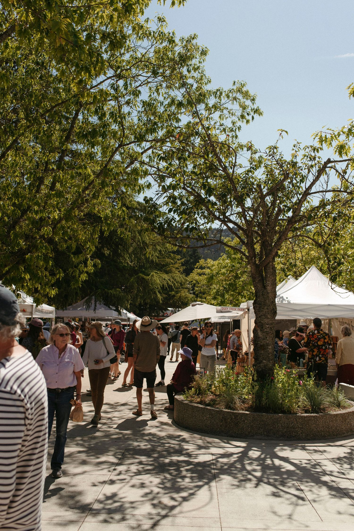salt spring island saturday market in ganges